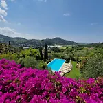 Il Pino - Charming With Pool Massarosa