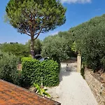 Il Pino - Charming With Pool * Massarosa