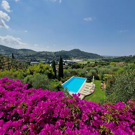 Il Pino - Charming With Pool Massarosa