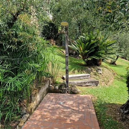 Il Pino - Charming With Pool Holiday home