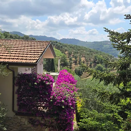 Il Pino - Charming With Pool