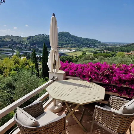Il Pino - Charming With Pool Holiday home Massarosa