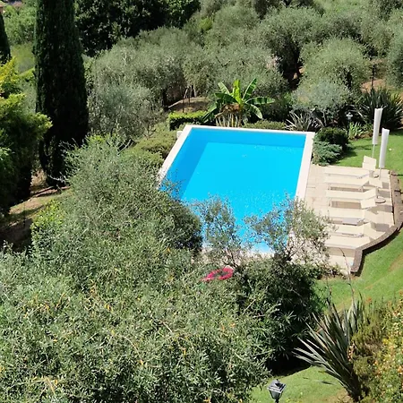 Il Pino - Charming With Pool Holiday home *