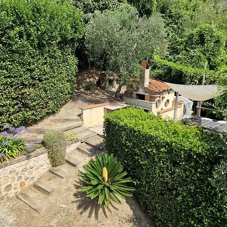 Il Pino - Charming With Pool * Massarosa